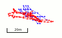 screenshot of poor visibility tracks