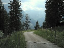 Track down through Gmeinmad