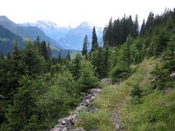 Path traversing valley