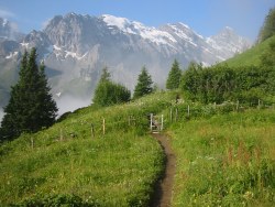 path from Spielbodenalp
