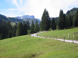 Track towards pass