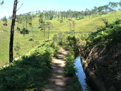 levada nova