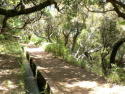 tranquil levada