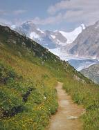 path towards Fiescher Gletscher