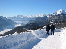 view towards Brienzersee