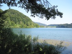 T&uuml;rlersee